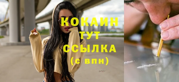 apvp Новозыбков