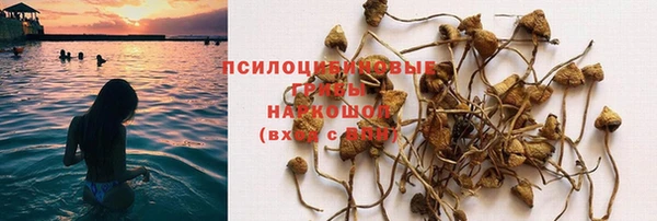 каннабис Галич