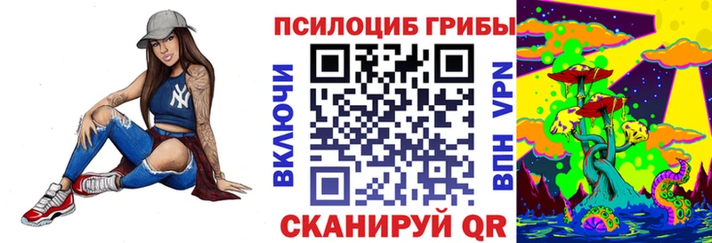 купить Реутов Псилоцибиновые грибы GOLDEN TEACHER